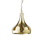 Seymour Pendant Polished Brass подвесной светильник Sonder Living 1407045 — фото 1
