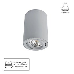 A1560PL-1GY Arte Lamp SENTRY накладной потолочный светильник белого цвета