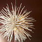 89564 Finch Chandelier Arteriors люстра — фото 1