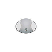 Microgeos 75