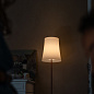 FN221024_44 Foscarini Birdie Easy PT цветной торшер шалфейный зелёный — фото 4