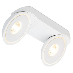 SFERA 2 15.30 W Led Technology SFERA накладной потолочный светодиодный светильник с двумя поворотными цилиндрическими модулями и направленным светом