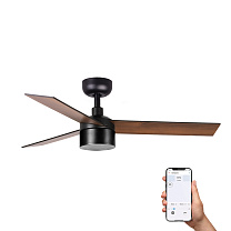 RUDDER TEK 4 S Black/walnut fan 3000K TUYA