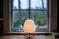 Настольная лампа Foscarini Rituals 3 — фото 4