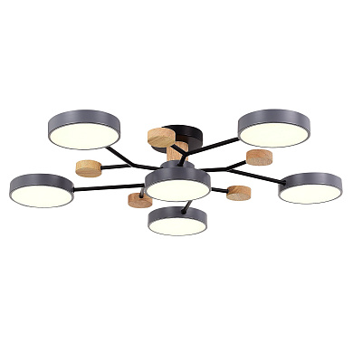 Потолочный светильник Evoluce Faema SLE6006-702-06