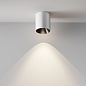 C064CL-12W4K-RD-WB Maytoni Alfa LED Потолочный светильник 12W 1370лм Белый — фото 8