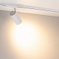 055087 Arlight Светильник LGD-GERA-2TR-R74-20W Warm3000 (WH, 55 deg, 230V) — фото 4