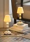 Аккумуляторная настольная лампа Palm Firefly Lladro, Golden Fall 01023793 — фото 3