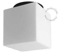 Настенно-потолочный светильник Zangra 120 из матового стекла IP44