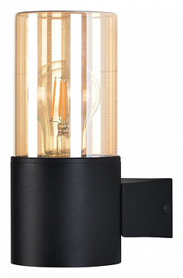 A6515AL-1BK Seginus Arte Lamp уличный настенный светильник