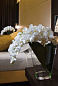 VASE PHALENO CASCADE Ткань Искусственное растение VGnewtrend — фото 1