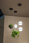 22.93727 подвесной светильник Imperiumloft Palma wall lamp