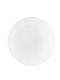 6100522 Nova Luce Ivi двухламповый потолочный светильник с круглым матовым плафоном для влажных помещений