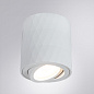 A5559PL-1WH Arte Lamp Fang точечный накладной светильник GU10 1х50W — фото 1