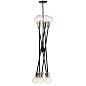 Armstrong 10 Light Chandelier Black люстра 43119BK Kichler — фото 4