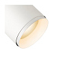 1006169 SLV NUMINOS L front ring white декоративное кольцо — фото 3
