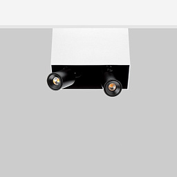 SWX12 Flexa lighting Swan Накладной прожектор