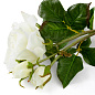 Искусственное растение Roses Eichholtz 119293 — фото 4
