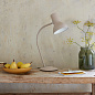 33029 Type 75 Anglepoise настольная лампа — фото 13