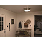 Serca 18" 3 Light Flush Mount Polished Nickel  потолочный светильник 52541PN Kichler — фото 4