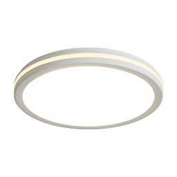Потолочный светильник Rua Freya FR6160CL-L40W