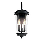Holmden 21" 2 Light Outdoor Wall Light Textured Black уличный настенный светильник 39543 Kichler — фото 9
