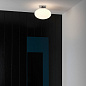 Потолочный светильник Astro Lighting Zeppo матовый черный — фото 3