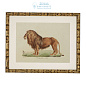 111745 Prints EC262 Lion, Tigre, Jaguar set of 6  Eichholtz