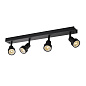 1002029 SLV PURI IV QPAR51 CW black трековый светильник — фото 1