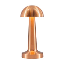Настольная лампа L'Arte Luce Cooee L42633