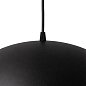 Подвесной светильник Arte Lamp CARMEL A7105SP-1BK — фото 3