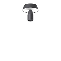 MaxiDisco SP GH1563.LRXO300EN