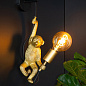10202/01/30 EXTRAVAGANZA CHIMP Lucide Indoor Wall lights — фото 2