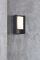 46981003 Aspen Nordlux уличный настенный светильник черный