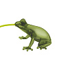 59001EM Qeeboo Hungry Frog TL AP дизайнерский светильник изумрудный — фото 2