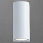 A3102AL-2WH Накладной светильник 3102 Arte Lamp — фото 1