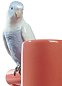 Фарфоровая ваза с тремя попугаями Parrot Parade Lladro, коралловая 01007846 — фото 4