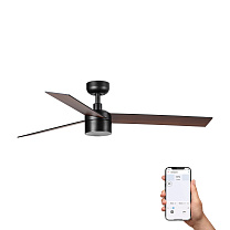 RUDDER TEK 3 L Black/walnut fan 2700K TUYA