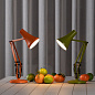 Настольная лампа Anglepoise 90 Mini Mini Зеленый авокадо 33297 — фото 5