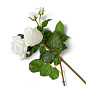 Искусственное растение Roses Eichholtz 119292 — фото 3