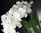 ORCHID PALMITOS Искусственное растение VGnewtrend — фото 1