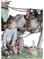 ENCHANTED OUTING CHILDREN Фарфоровый декоративный предмет Lladro 1001797