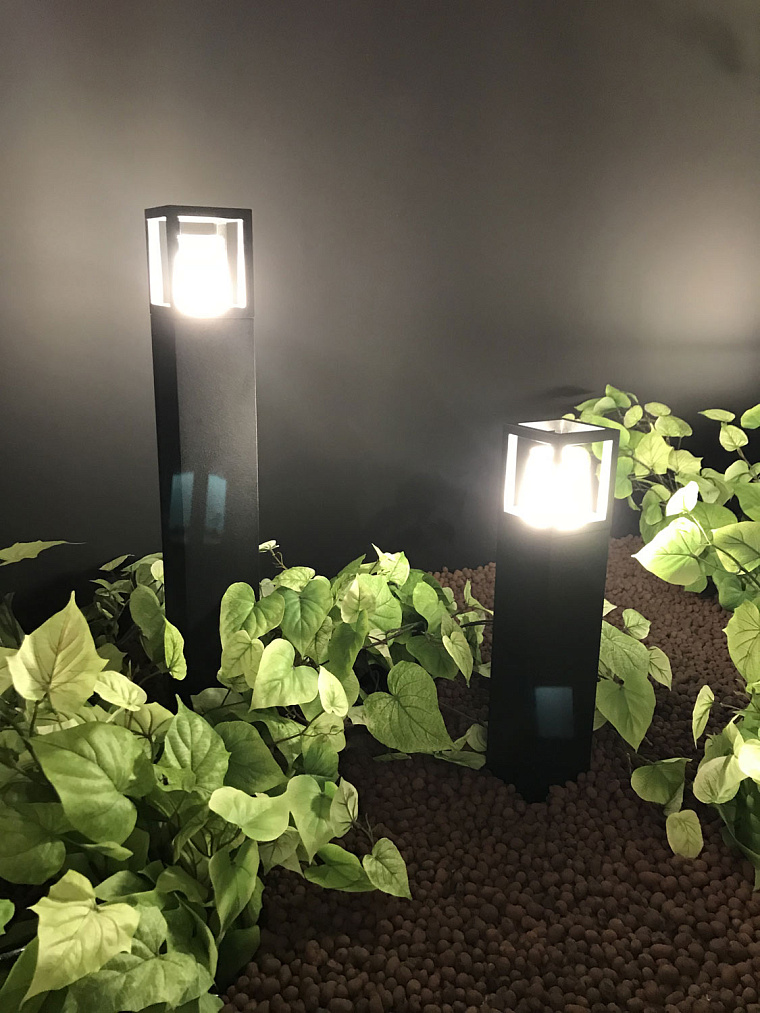 Maxima studio на празднике DELTA LIGHT — фото 40