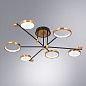 A1364PL-6PB Arte Lamp Holly потолочная люстра LED 1х60W 3000Lm 3000-6400K — фото 2
