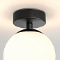 1038005 Denver Astro lighting потолочный светильник матовый чёрный — фото 1