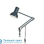 TYPE 75 MINI настенный светильник Anglepoise 32735 — фото 1