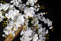 VASE MADAME BUTTERFLY Ткань Искусственное растение VGnewtrend — фото 6