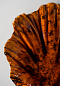 Настенный светильник Scallop Ceramic Small Porta Romana TWL169S — фото 18