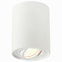 ST108.517.01 ST-Luce Torus потолочный светильник