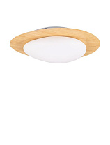 Triac Dimmable Wood Finishing Steel Aluminium & Acrylic LED 21 Watt 220-240 Volt 1572 Lm 3000K IP20 D:47 W:42.5 H:11.5 cm